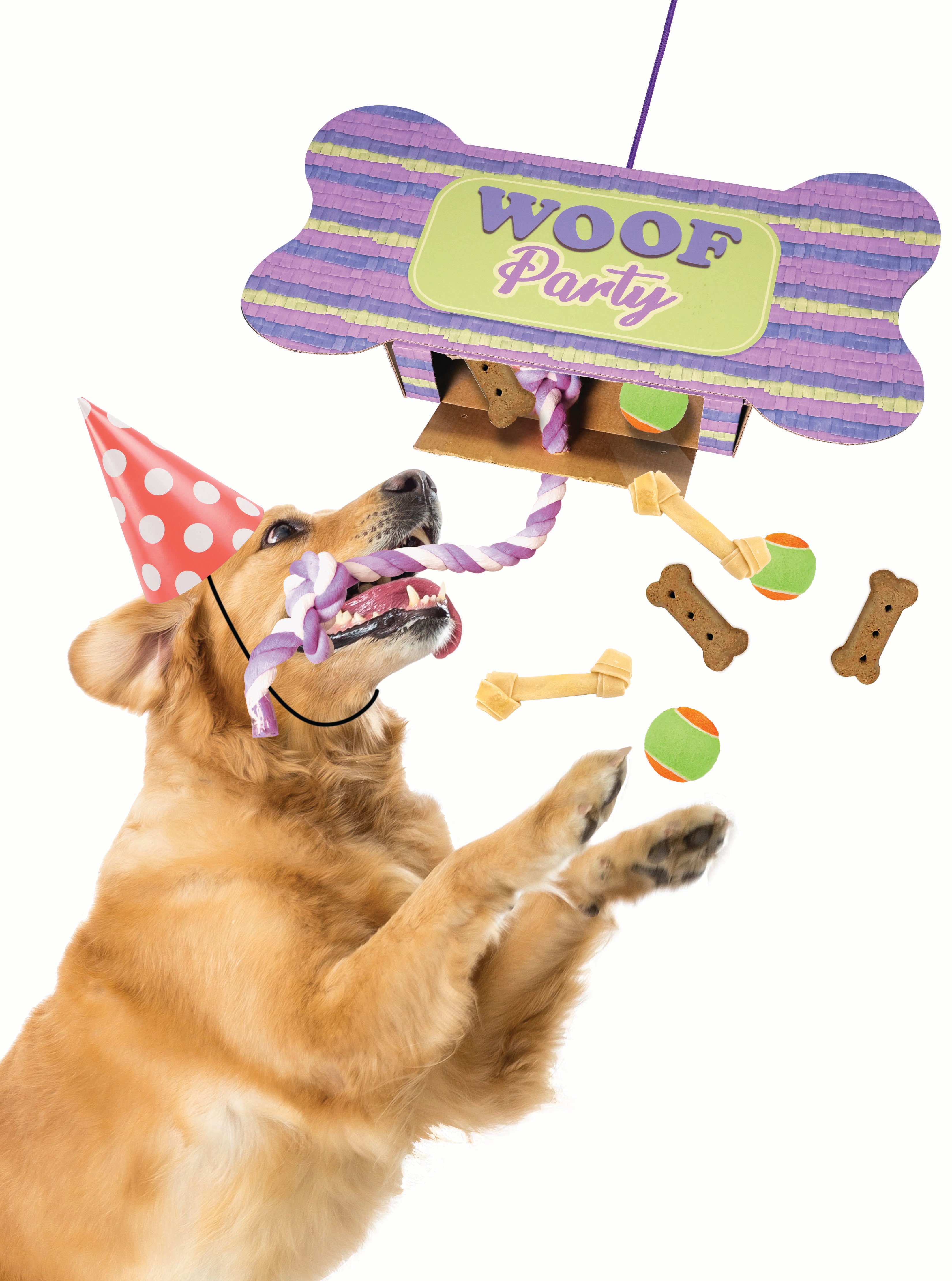 Woof Party™ - Dog Party Piñata