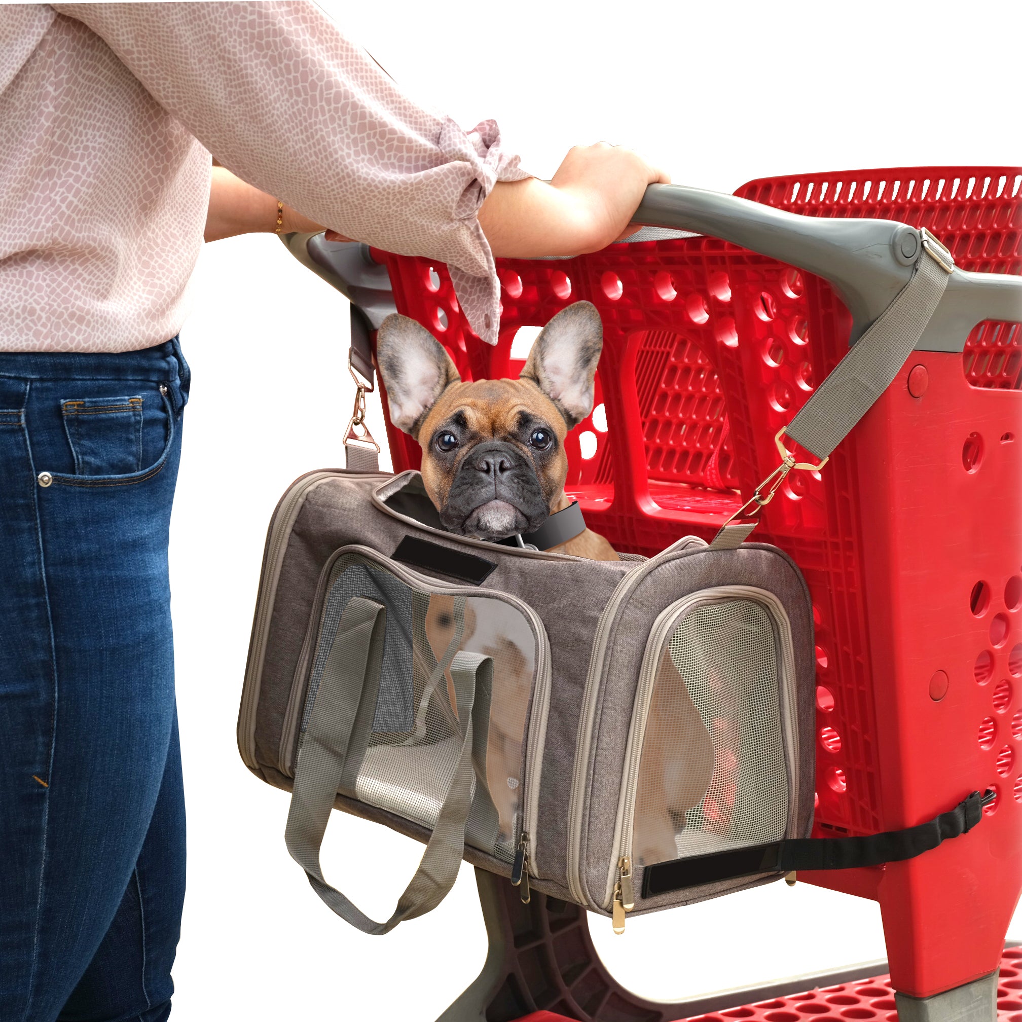 Cart Cruiser™ — Pet Carrier Travel Bag