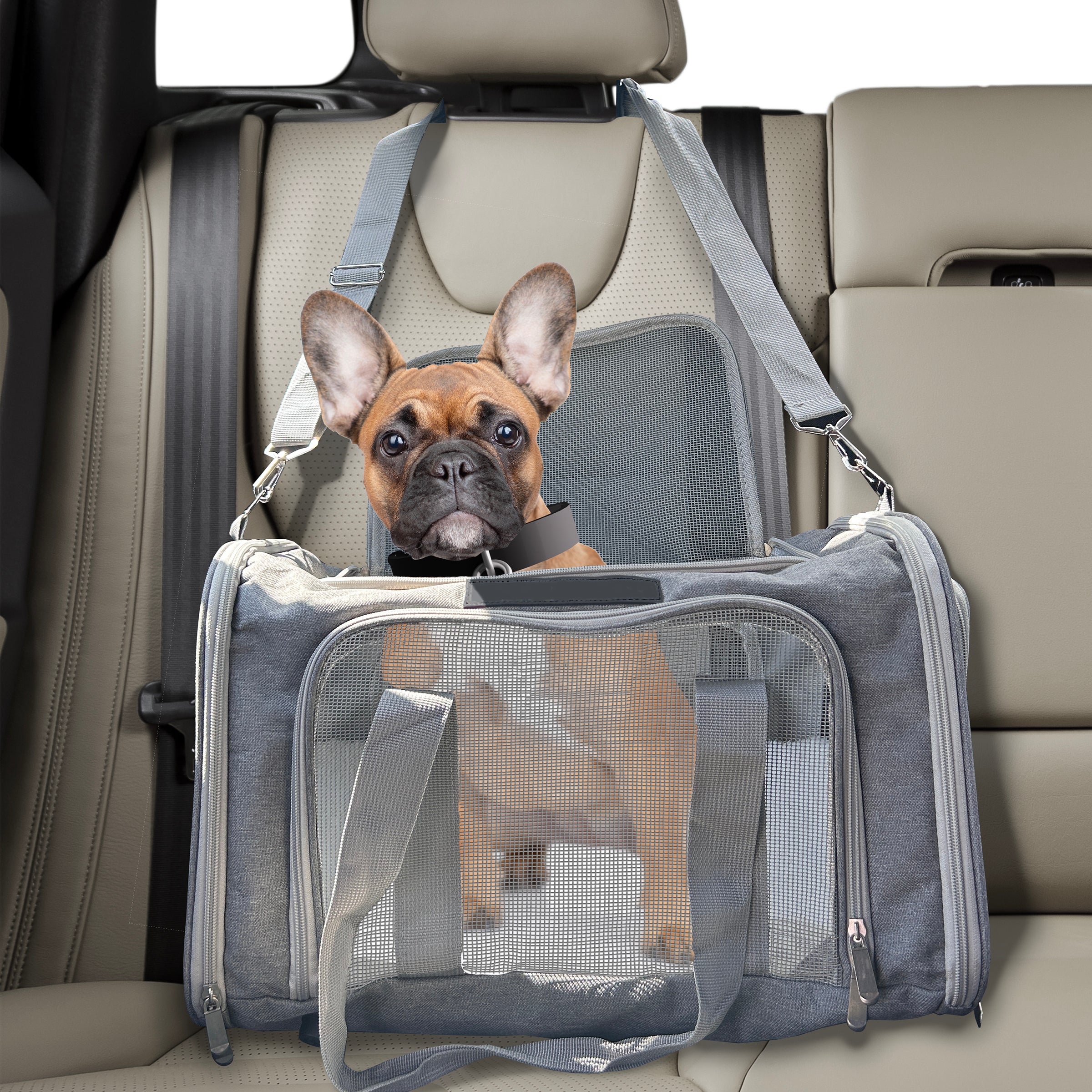 Cart Cruiser™ — Pet Carrier Travel Bag