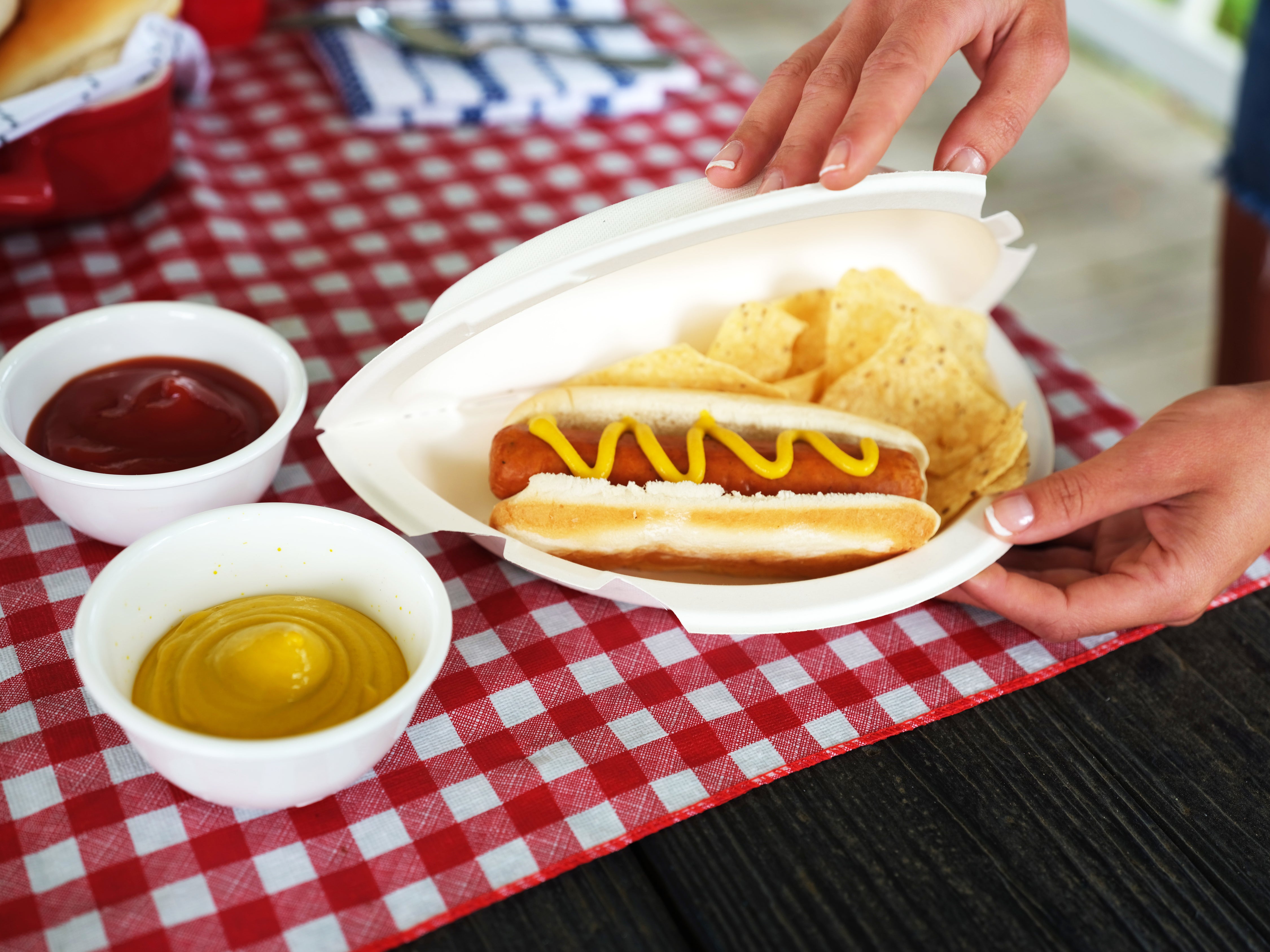 Perfect Plate - Foldable Eco-Friendly Plates