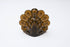 Holiday Glow™ - Light Topper (Turkey)